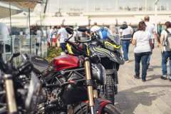 BW23_dom_2428