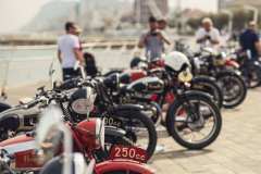 BW23_dom_2460