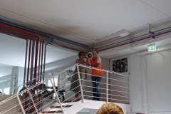 IMG_20240707_104703