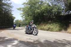 IMG_20240707_121124