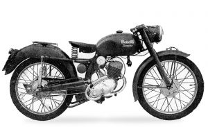 leoncino normale 1952