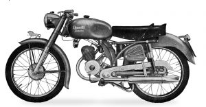 leoncino normale 2T 1956