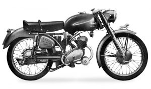 leoncino sport 1955