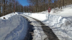 IMG-20170129-WA0015