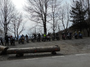 DSCN3697