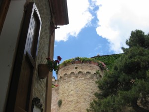 IMG 3899