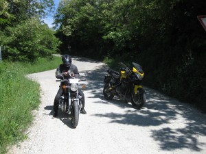 IMG 3904