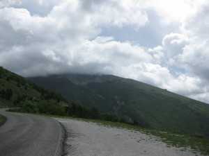 IMG 3906