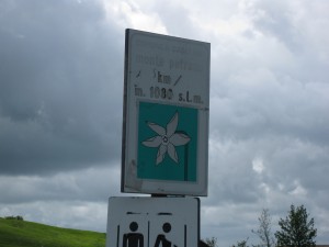 IMG 3920